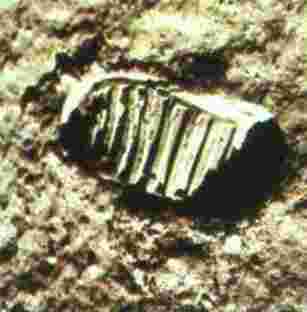 V-Premierpas.jpg (30857 octets)